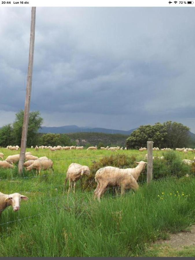 Ferienwohnung Preciosas Vistas A La Montana, Luminoso Y Acogedor El Pueyo de Araguás Exterior foto